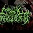 Carnal Disfigurement
